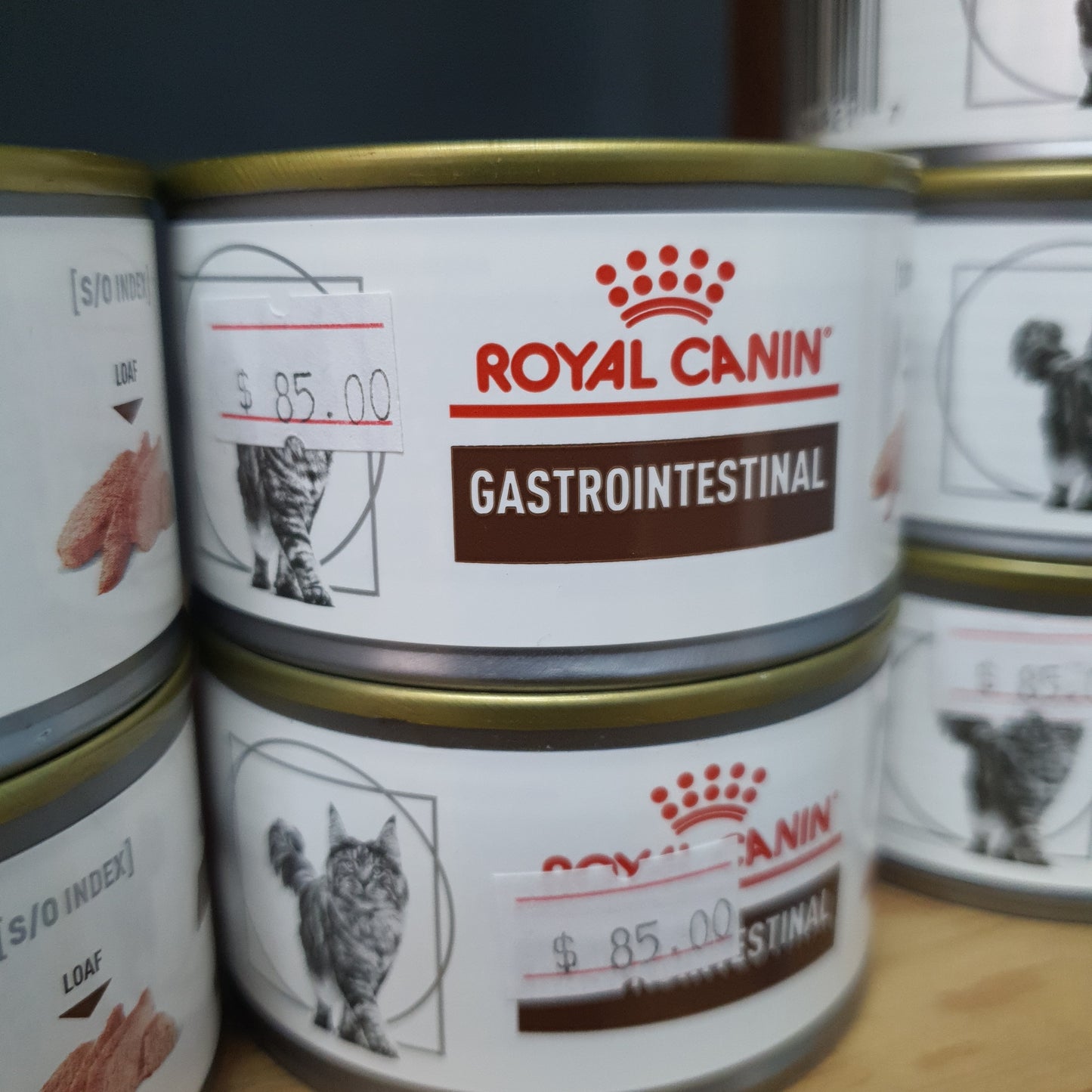 Lata royal canin gastrointestinal gato