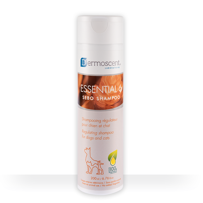 Shampoo Dermoscent Essential 6 sebo