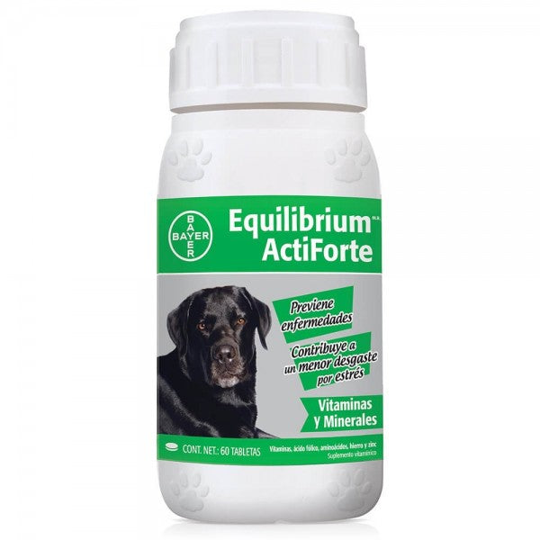 Equilibrium actiforte 60 tabs