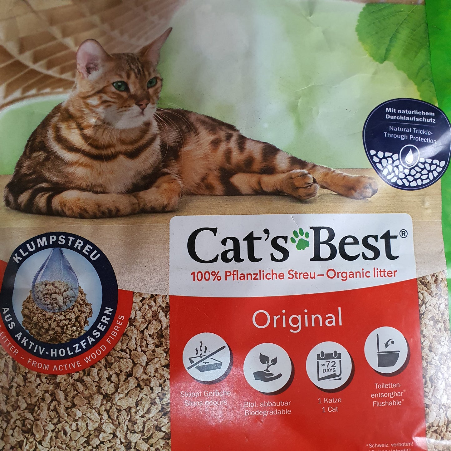 Arena para gato Best race aglutinante