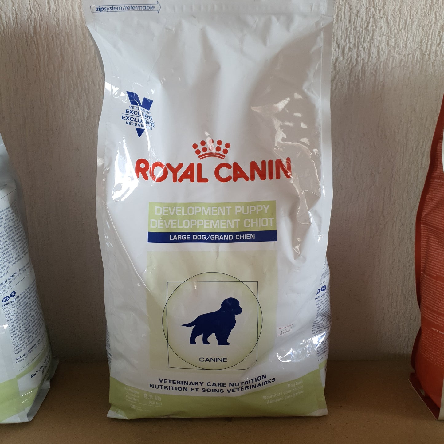 Development puppy 4 kg large dog