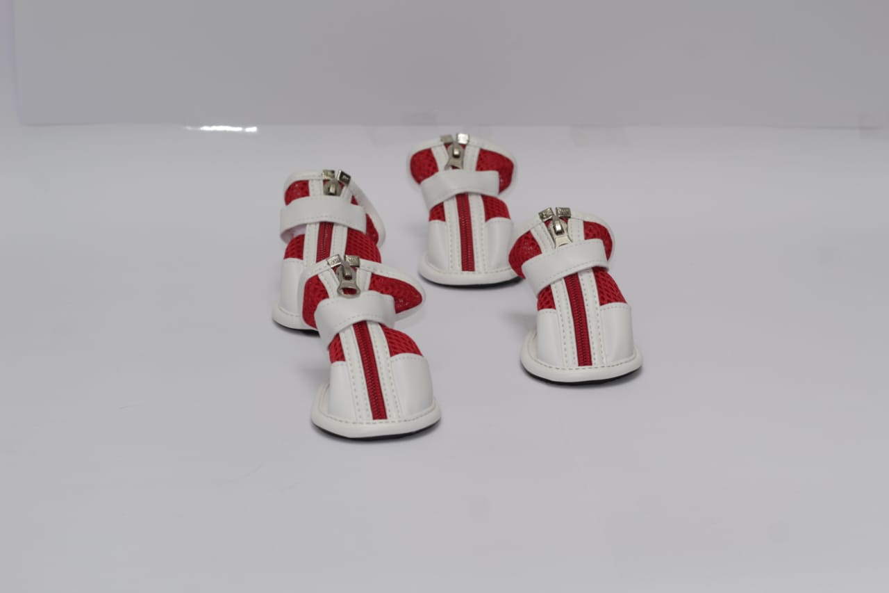 zapatos para mascotas audaces