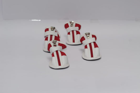 zapatos para mascotas audaces