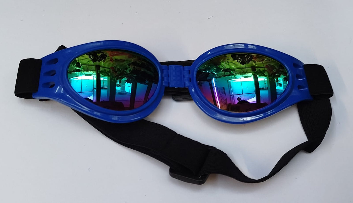 Lentes para mascotas audaces