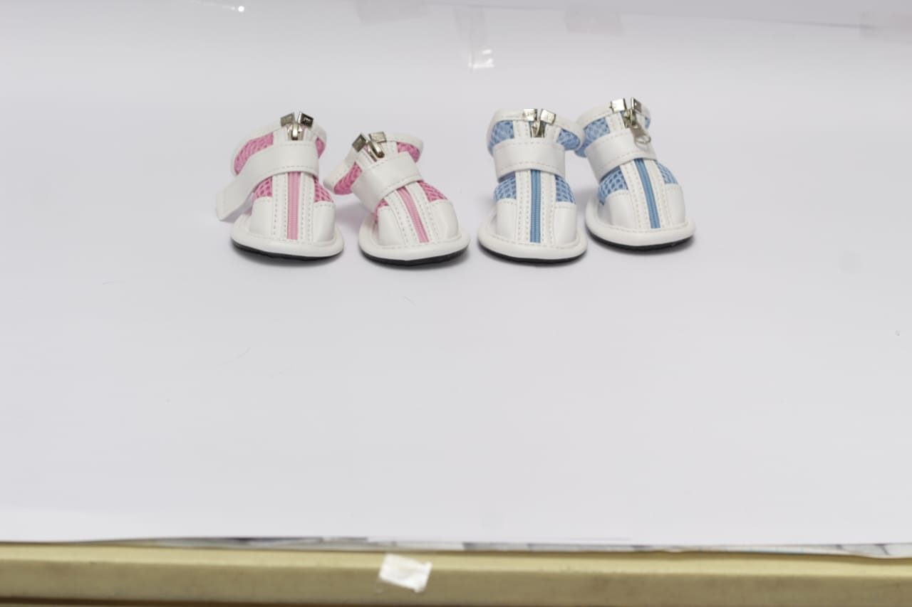 zapatos para mascotas audaces