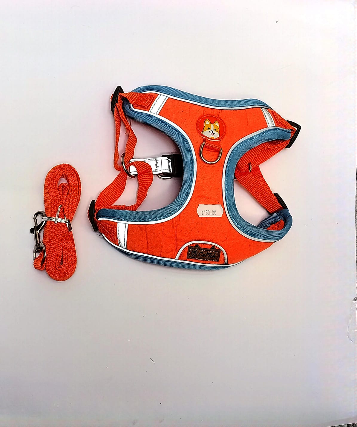 arnes azul y naranja Celtok talla CH