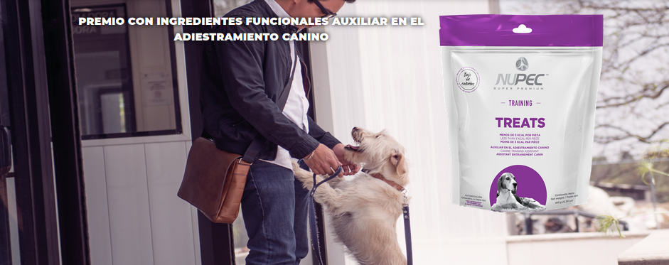 Nupec treats training