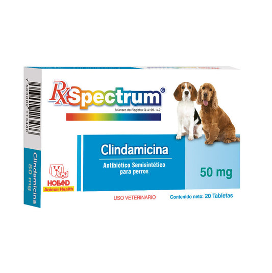 rx spectrum clindamicina tabletas 50mg