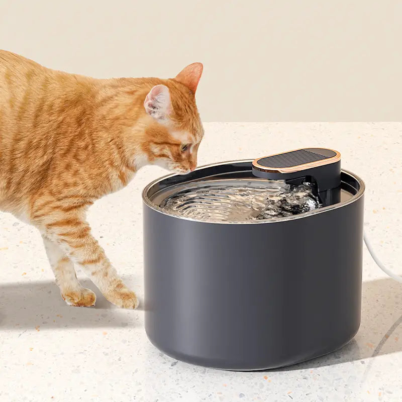 fuente de agua para gato, bebedero 3L
