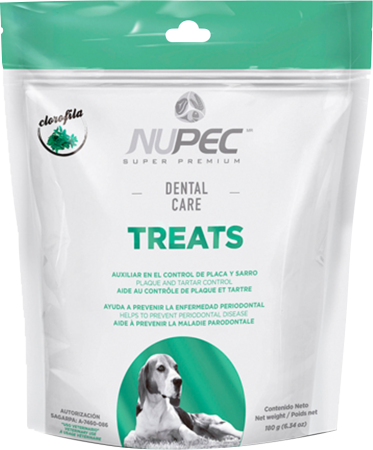 Nupec treats dental care