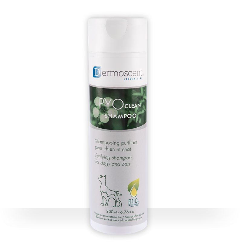 Shampoo Dermoscent PYOclean