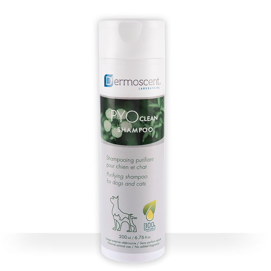 Shampoo Dermoscent PYOclean