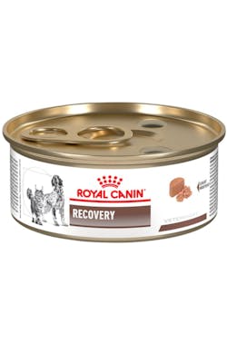 Lata Royal Canin Recovery | 156 g | Alimento Húmedo