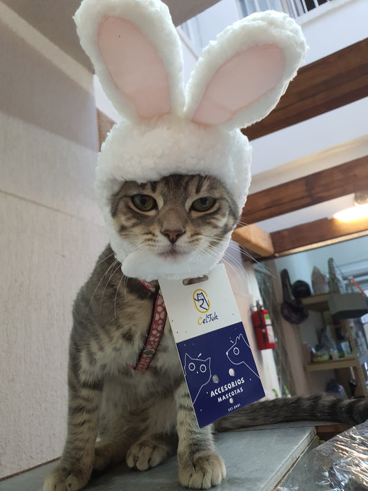Gorro orejitas de conejo para mascota