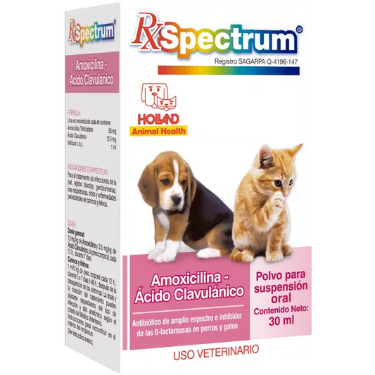 RX SPECTRUM AMOXICILINA- ACIDO CLAVULANICO